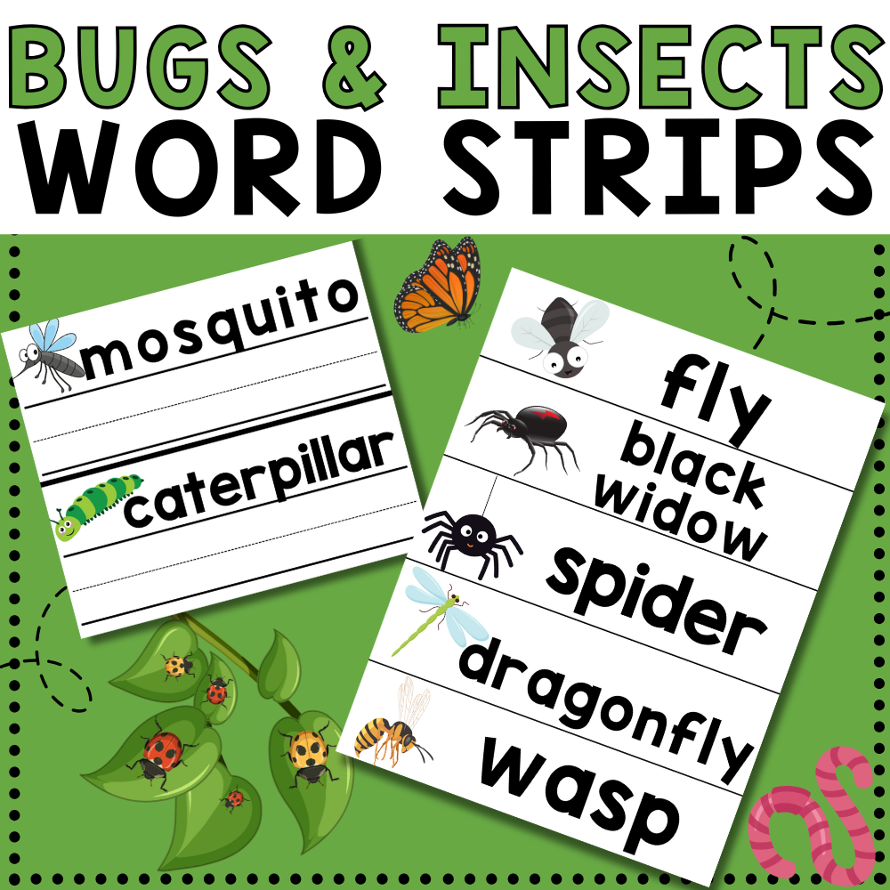 Insect Rearing Word Insect Word Mat